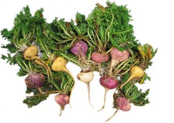 El ginseng peruano y la sexualidad de las mujeres