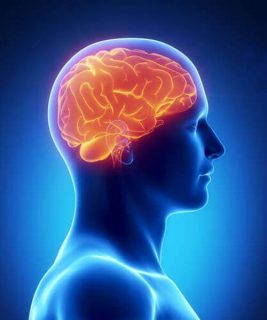 1. Fortalecer la ciencia y la memoria.