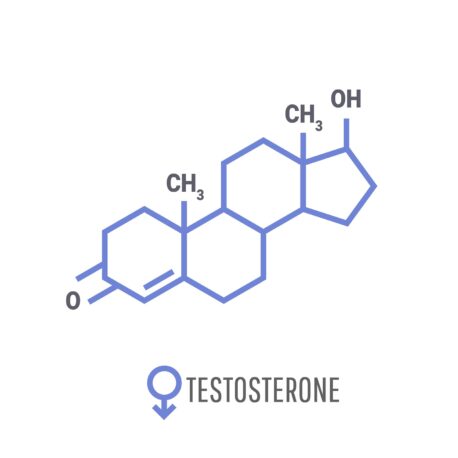 ¿Qué es la testosterona?