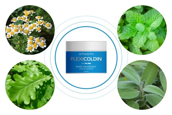 Flexicoldin - ¿Cuál es la composición y la fórmula de la crema?
