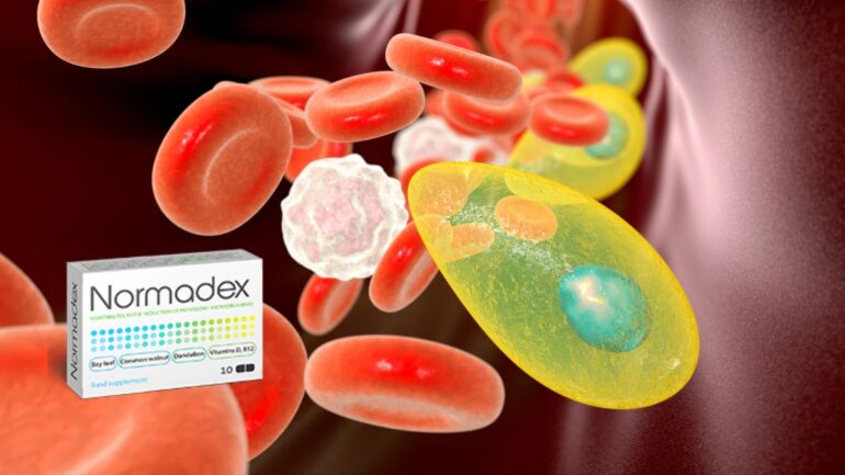 ¿Cómo utilizar Normadex? Indicaciones y posología
